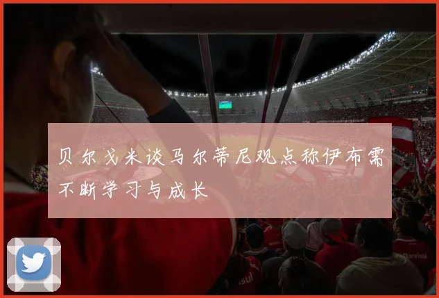 贝尔戈米谈马尔蒂尼观点称伊布需不断学习与成长